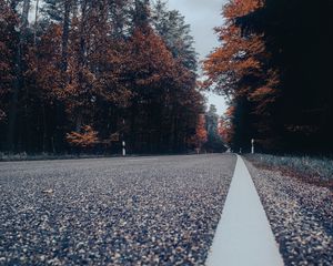 Preview wallpaper road, asphalt, forest, trees, sky