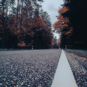 Preview wallpaper road, asphalt, forest, trees, sky