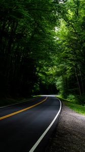 Preview wallpaper road, asphalt, forest, trees, turn