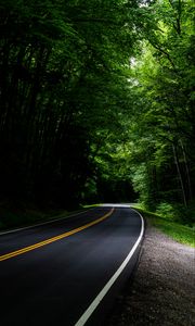 Preview wallpaper road, asphalt, forest, trees, turn