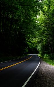 Preview wallpaper road, asphalt, forest, trees, turn