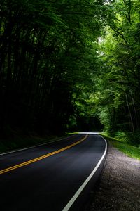 Preview wallpaper road, asphalt, forest, trees, turn