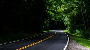 Preview wallpaper road, asphalt, forest, trees, turn