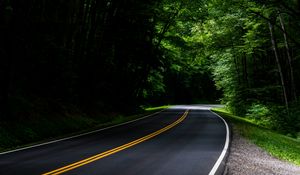 Preview wallpaper road, asphalt, forest, trees, turn