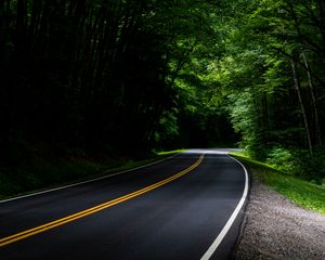 Preview wallpaper road, asphalt, forest, trees, turn