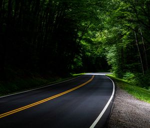 Preview wallpaper road, asphalt, forest, trees, turn