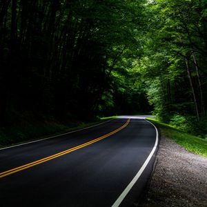 Preview wallpaper road, asphalt, forest, trees, turn