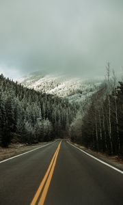 Preview wallpaper road, asphalt, forest, trees, snow, winter