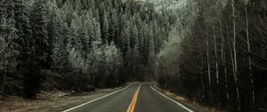 Preview wallpaper road, asphalt, forest, trees, snow, winter