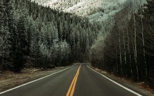 Preview wallpaper road, asphalt, forest, trees, snow, winter
