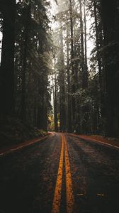 Preview wallpaper road, asphalt, forest, trees, nature