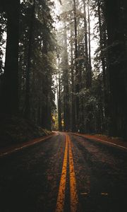 Preview wallpaper road, asphalt, forest, trees, nature