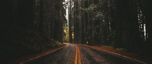 Preview wallpaper road, asphalt, forest, trees, nature