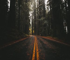 Preview wallpaper road, asphalt, forest, trees, nature