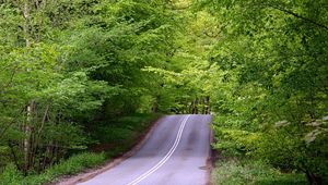 Preview wallpaper road, asphalt, lifting, wood, green, hill