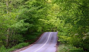 Preview wallpaper road, asphalt, lifting, wood, green, hill