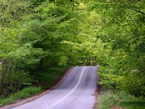 Preview wallpaper road, asphalt, lifting, wood, green, hill