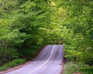 Preview wallpaper road, asphalt, lifting, wood, green, hill