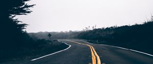 Preview wallpaper road, asphalt, marking, turn, nature