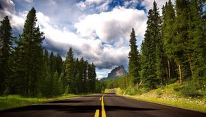 Preview wallpaper road, asphalt, marking, lines, trees, fur-trees