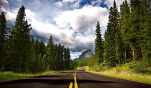 Preview wallpaper road, asphalt, marking, lines, trees, fur-trees