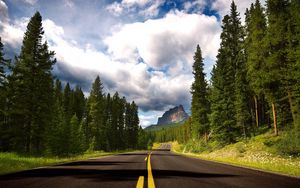 Preview wallpaper road, asphalt, marking, lines, trees, fur-trees