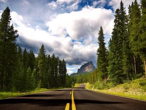 Preview wallpaper road, asphalt, marking, lines, trees, fur-trees