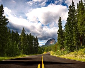 Preview wallpaper road, asphalt, marking, lines, trees, fur-trees