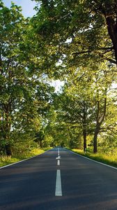 Preview wallpaper road, asphalt, marking, summer, sunlight, trees