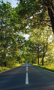 Preview wallpaper road, asphalt, marking, summer, sunlight, trees