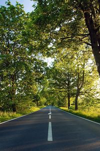 Preview wallpaper road, asphalt, marking, summer, sunlight, trees