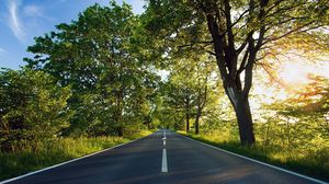 Preview wallpaper road, asphalt, marking, summer, sunlight, trees