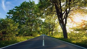 Preview wallpaper road, asphalt, marking, summer, sunlight, trees