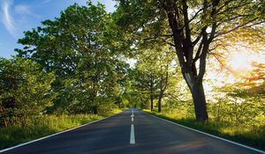 Preview wallpaper road, asphalt, marking, summer, sunlight, trees