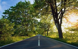 Preview wallpaper road, asphalt, marking, summer, sunlight, trees