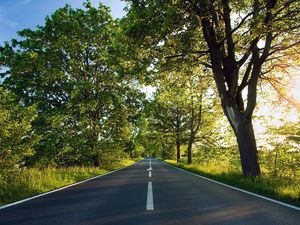 Preview wallpaper road, asphalt, marking, summer, sunlight, trees