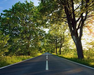 Preview wallpaper road, asphalt, marking, summer, sunlight, trees