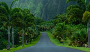 Preview wallpaper road, asphalt, palm trees, mountains, nature