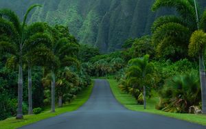 Preview wallpaper road, asphalt, palm trees, mountains, nature