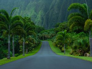 Preview wallpaper road, asphalt, palm trees, mountains, nature