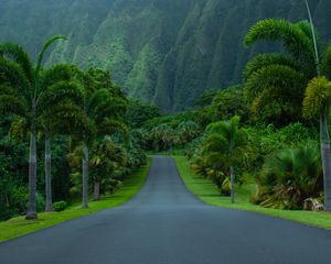 Preview wallpaper road, asphalt, palm trees, mountains, nature