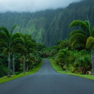 Preview wallpaper road, asphalt, palm trees, mountains, nature