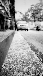 Preview wallpaper road, asphalt, petals, blur, bw