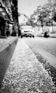 Preview wallpaper road, asphalt, petals, blur, bw