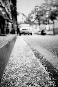 Preview wallpaper road, asphalt, petals, blur, bw