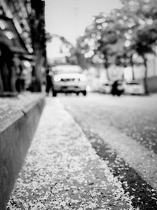 Preview wallpaper road, asphalt, petals, blur, bw