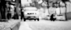 Preview wallpaper road, asphalt, petals, blur, bw