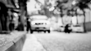 Preview wallpaper road, asphalt, petals, blur, bw