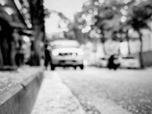 Preview wallpaper road, asphalt, petals, blur, bw