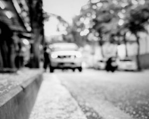 Preview wallpaper road, asphalt, petals, blur, bw